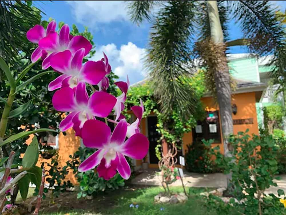 Buccaneer Beach Club Dickenson Bay Екстер'єр фото