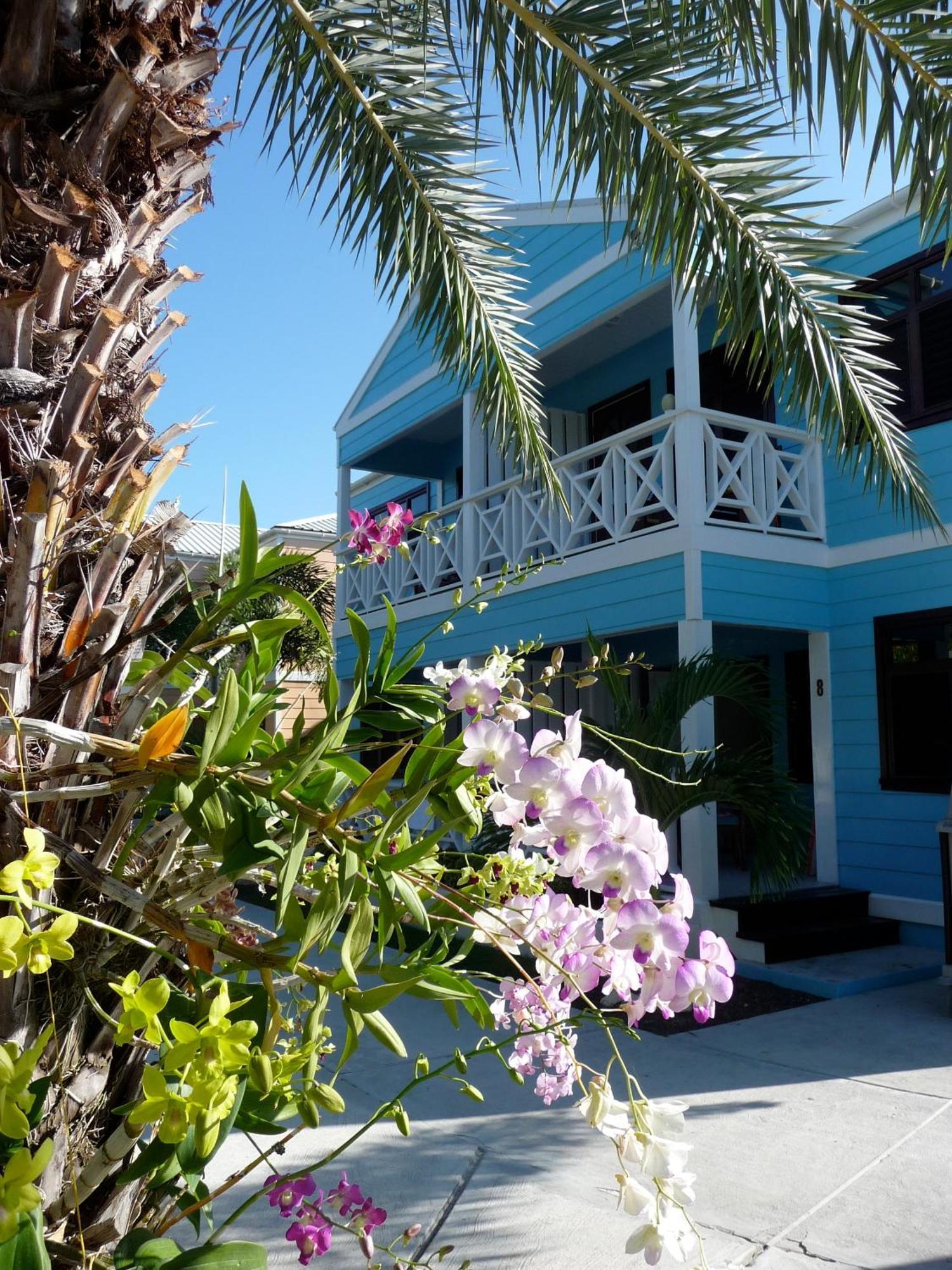 Buccaneer Beach Club Dickenson Bay Екстер'єр фото