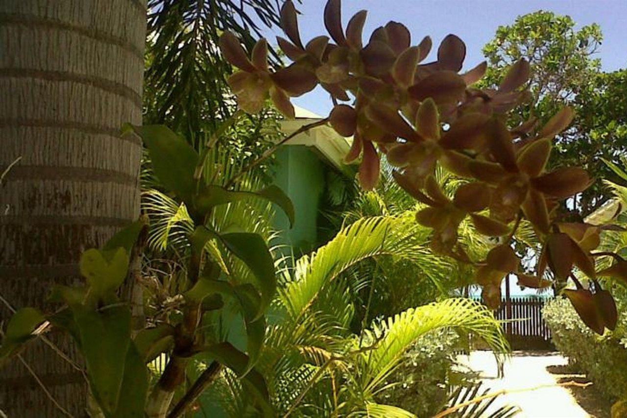 Buccaneer Beach Club Dickenson Bay Екстер'єр фото