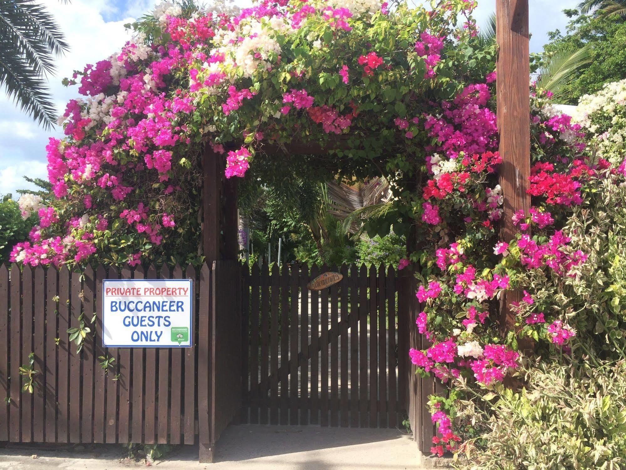 Buccaneer Beach Club Dickenson Bay Екстер'єр фото