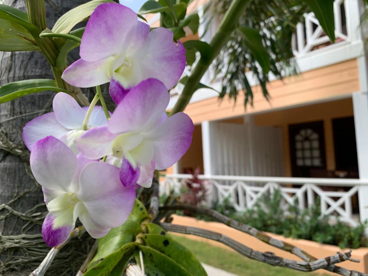 Buccaneer Beach Club Dickenson Bay Екстер'єр фото